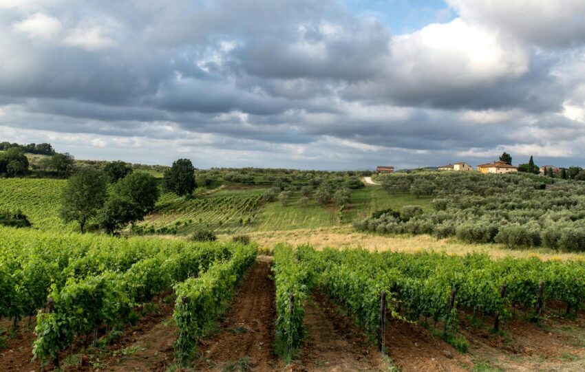 deluxetravelclub_biuro podroży toskania-18_2.jpg